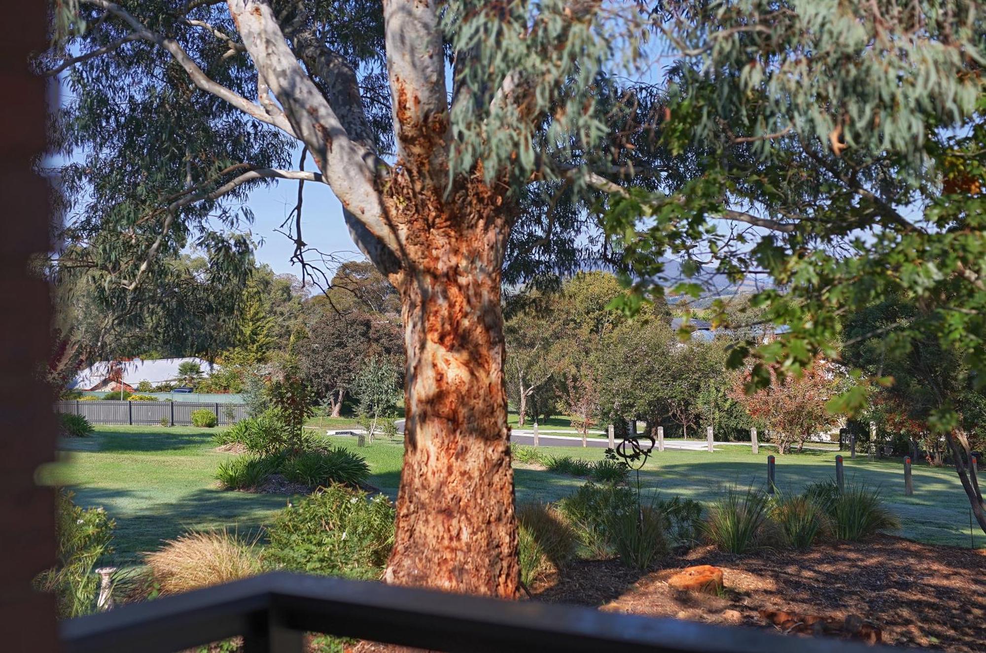 Yarra Gables Motel Healesville Exterior photo